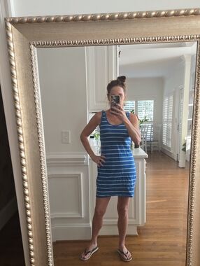 Mossimo Supply Co. Blue Striped Mini Dress